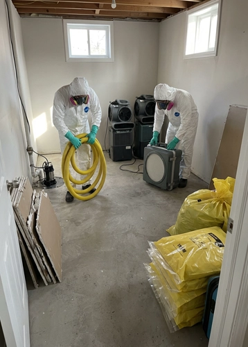 after clean up crew
